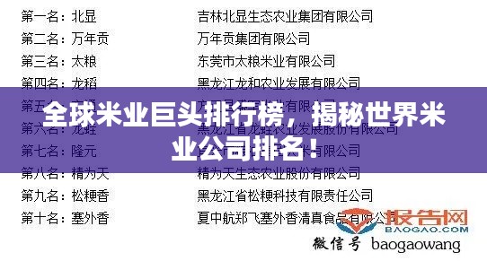 全球米業(yè)巨頭排行榜，揭秘世界米業(yè)公司排名！