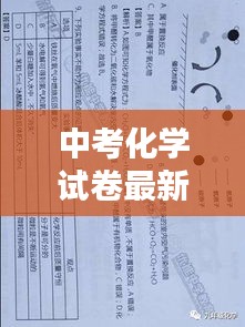 中考化學(xué)試卷最新題型解析與答案概覽揭秘