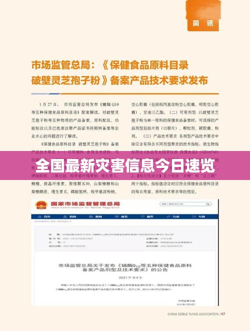 全國最新災(zāi)害信息今日速覽