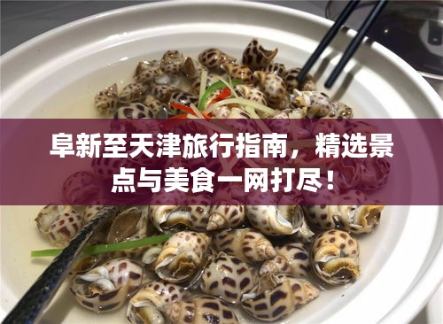 阜新至天津旅行指南，精選景點(diǎn)與美食一網(wǎng)打盡！