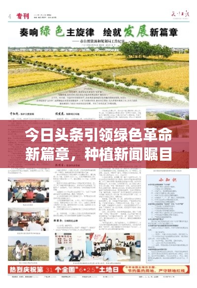 今日頭條引領(lǐng)綠色革命新篇章，種植新聞矚目呈現(xiàn)