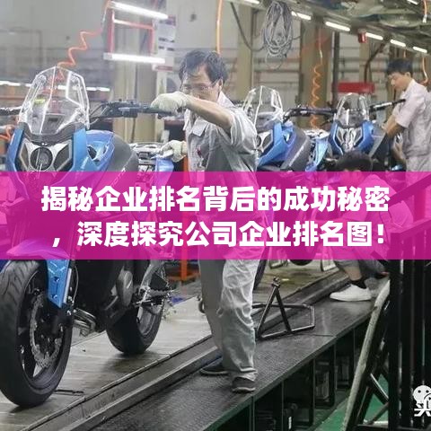 揭秘企業(yè)排名背后的成功秘密，深度探究公司企業(yè)排名圖！