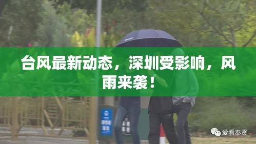 臺風(fēng)最新動態(tài)，深圳受影響，風(fēng)雨來襲！