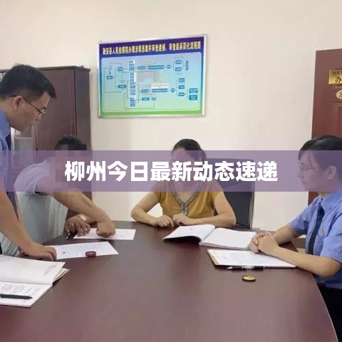 柳州今日最新動態(tài)速遞