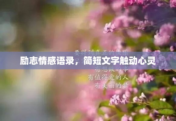 勵志情感語錄，簡短文字觸動心靈
