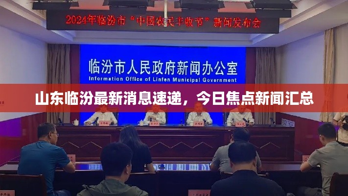山東臨汾最新消息速遞，今日焦點(diǎn)新聞匯總