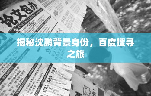 揭秘沈鵬背景身份，百度搜尋之旅