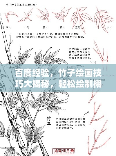 百度經(jīng)驗(yàn)，竹子繪畫(huà)技巧大揭秘，輕松繪制栩栩如生竹葉圖