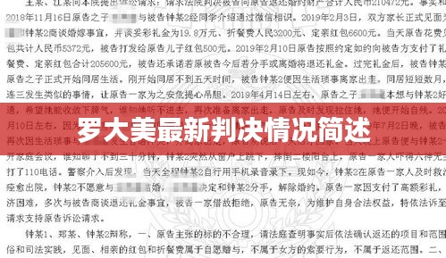 羅大美最新判決情況簡(jiǎn)述