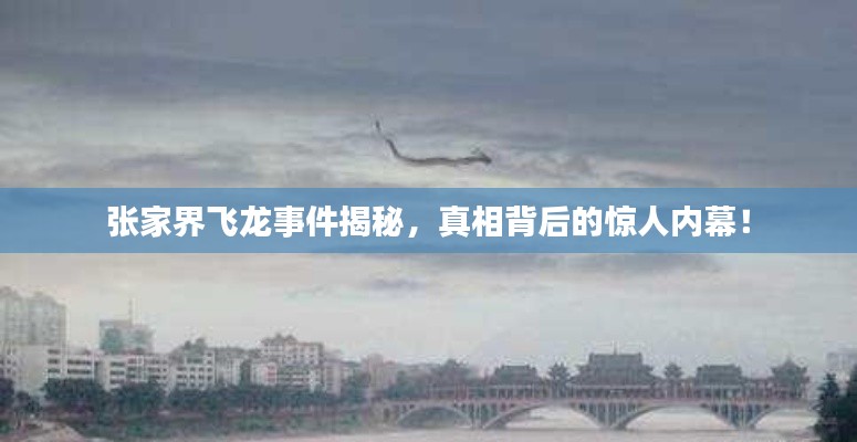 張家界飛龍事件揭秘，真相背后的驚人內(nèi)幕！