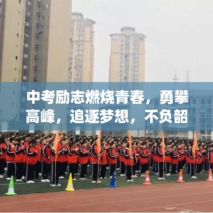 絕無僅有 第2頁