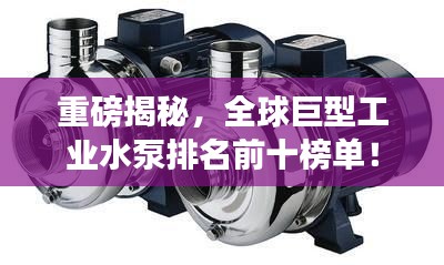 重磅揭秘，全球巨型工業(yè)水泵排名前十榜單！