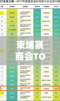柬埔寨商會(huì)TOP10榜單揭曉，揭秘排名前十的商會(huì)！