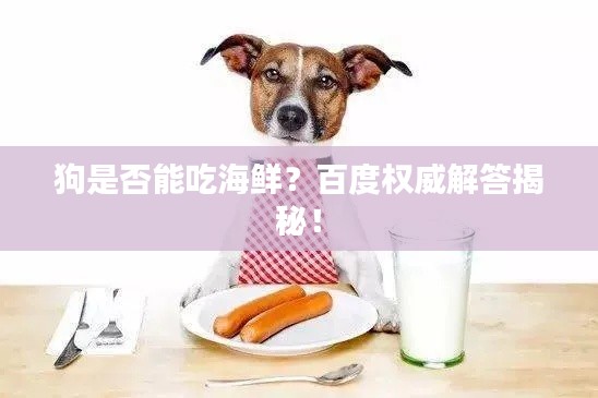 狗是否能吃海鮮？百度權(quán)威解答揭秘！