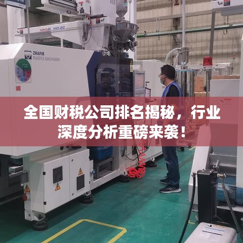 全國(guó)財(cái)稅公司排名揭秘，行業(yè)深度分析重磅來(lái)襲！