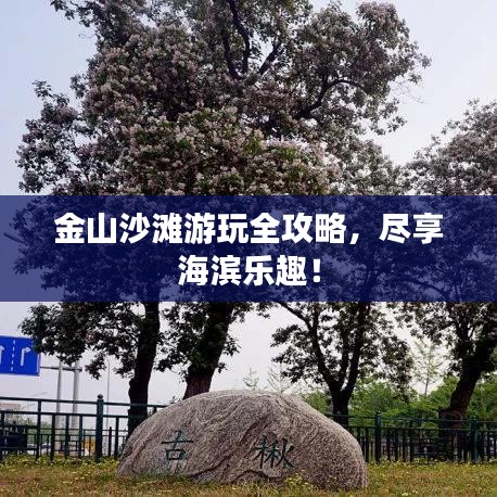 金山沙灘游玩全攻略，盡享海濱樂(lè)趣！
