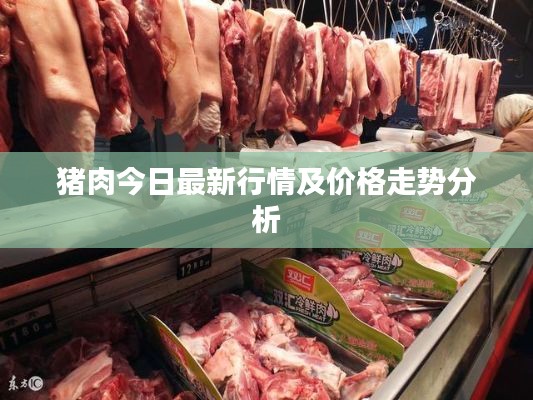豬肉今日最新行情及價(jià)格走勢(shì)分析
