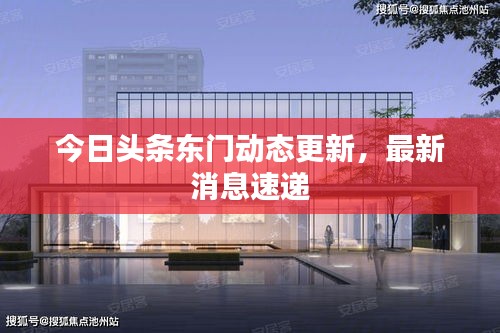 今日頭條東門動態(tài)更新，最新消息速遞