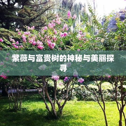 省吃細(xì)用 第2頁