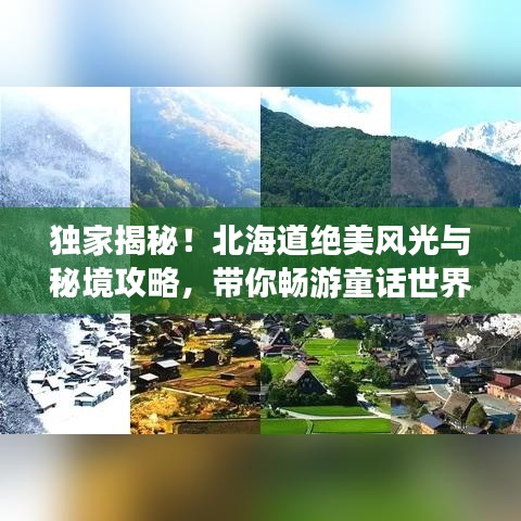 獨家揭秘！北海道絕美風光與秘境攻略，帶你暢游童話世界之旅！