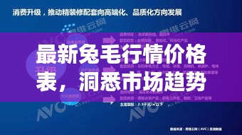 最新兔毛行情價格表，洞悉市場趨勢，把握行業(yè)脈動