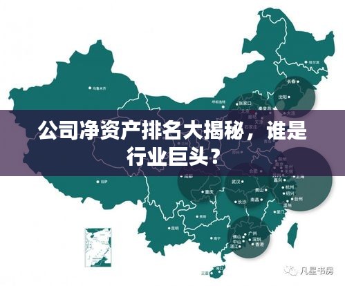 公司凈資產(chǎn)排名大揭秘，誰是行業(yè)巨頭？