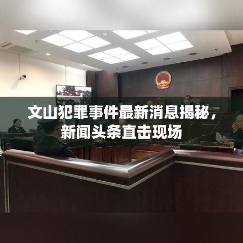 文山犯罪事件最新消息揭秘，新聞頭條直擊現(xiàn)場
