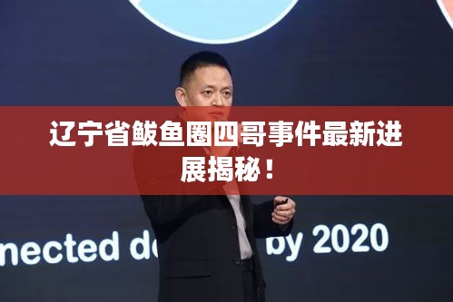 遼寧省鲅魚圈四哥事件最新進(jìn)展揭秘！