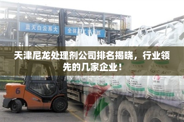 天津尼龍?zhí)幚韯┕九琶視?，行業(yè)領(lǐng)先的幾家企業(yè)！