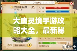 大唐靈境手游攻略大全，最新秘籍揭秘！