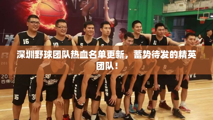 深圳野球團(tuán)隊(duì)熱血名單更新，蓄勢待發(fā)的精英團(tuán)隊(duì)！
