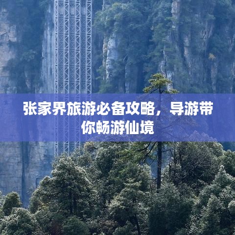 張家界旅游必備攻略，導(dǎo)游帶你暢游仙境