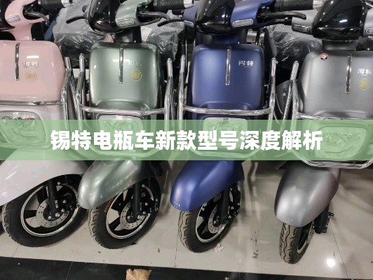錫特電瓶車新款型號深度解析