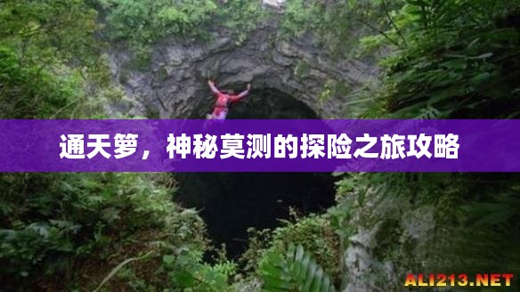 通天籮，神秘莫測的探險之旅攻略