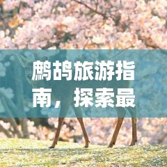 寧靜致遠 第2頁