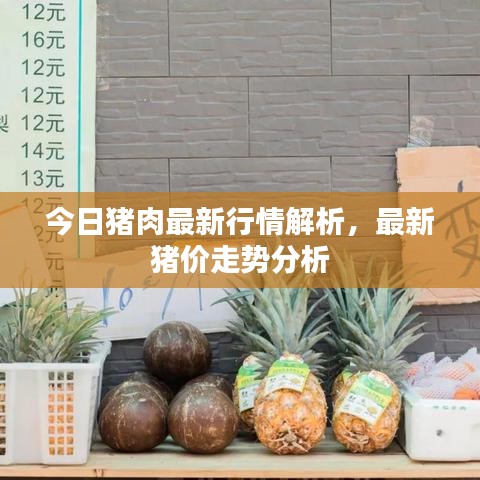 今日豬肉最新行情解析，最新豬價(jià)走勢(shì)分析