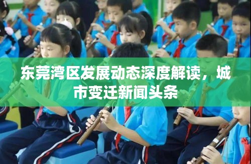 東莞灣區(qū)發(fā)展動(dòng)態(tài)深度解讀，城市變遷新聞?lì)^條