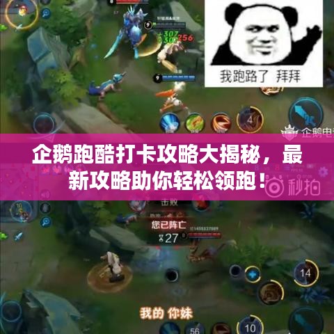 企鵝跑酷打卡攻略大揭秘，最新攻略助你輕松領(lǐng)跑！