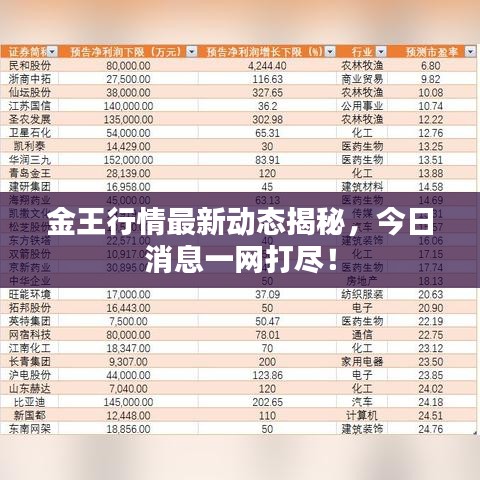 金王行情最新動態(tài)揭秘，今日消息一網(wǎng)打盡！
