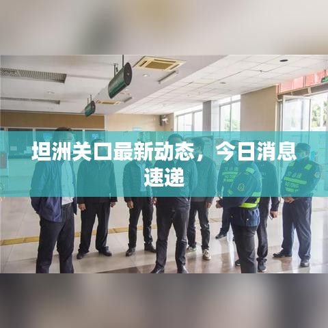 坦洲關口最新動態(tài)，今日消息速遞