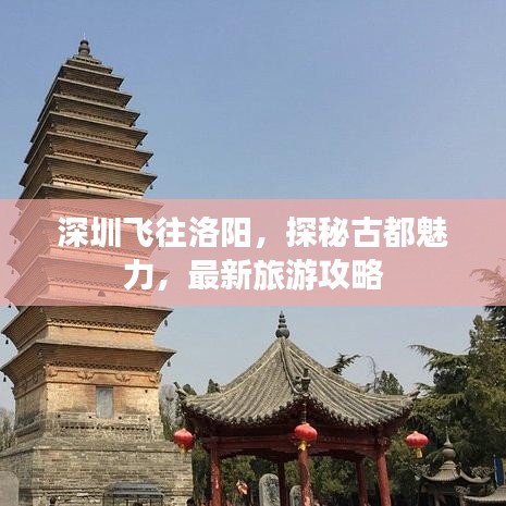 深圳飛往洛陽，探秘古都魅力，最新旅游攻略