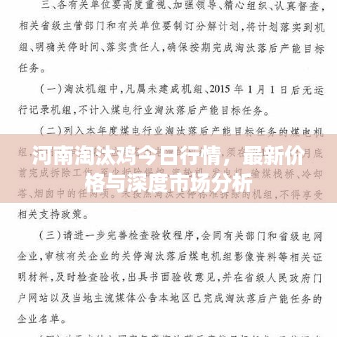 河南淘汰雞今日行情，最新價(jià)格與深度市場分析