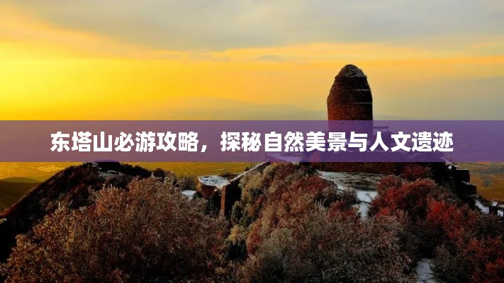 東塔山必游攻略，探秘自然美景與人文遺跡