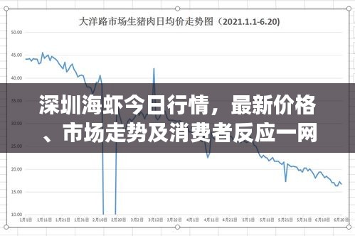 深圳海蝦今日行情，最新價格、市場走勢及消費者反應一網打盡