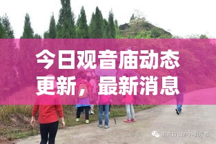 今日觀音廟動態(tài)更新，最新消息一覽