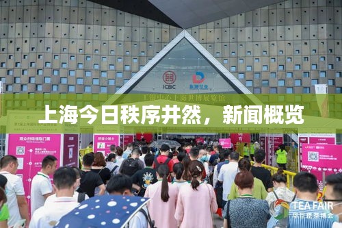 上海今日秩序井然，新聞概覽