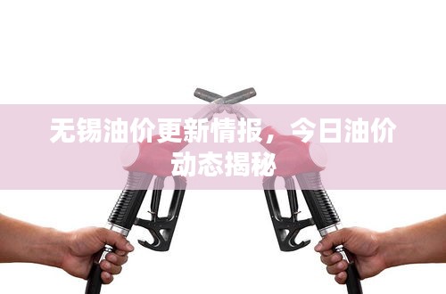 無錫油價更新情報，今日油價動態(tài)揭秘