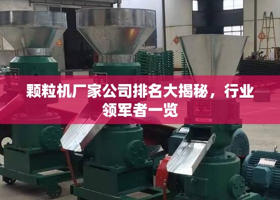 顆粒機(jī)廠家公司排名大揭秘，行業(yè)領(lǐng)軍者一覽