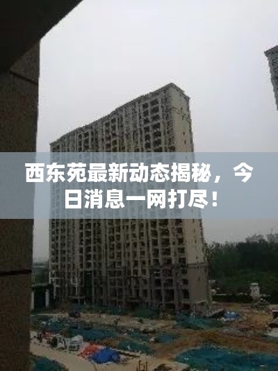 西東苑最新動態(tài)揭秘，今日消息一網(wǎng)打盡！