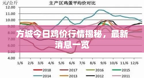 方城今日雞價行情揭秘，最新消息一覽